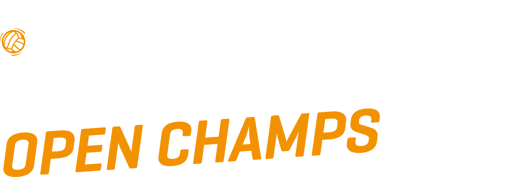 NS NZ Open Champs Logo Reversed1